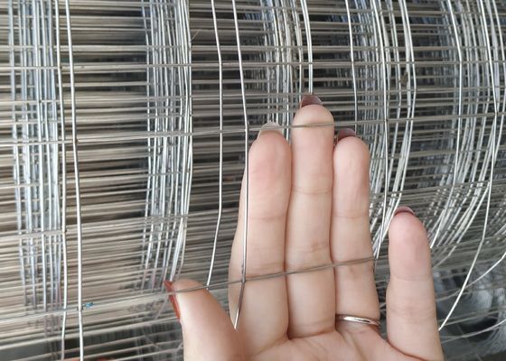 Anti Bird Net 6mm 6x8 Inch Steel Wire Mesh Panels