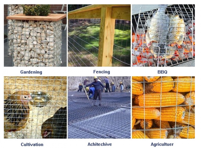 0.9mm 1/2 Inci 1m Lebar Stainless Steel Welded Wire Mesh 1